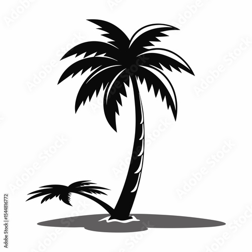palm trees on a white background