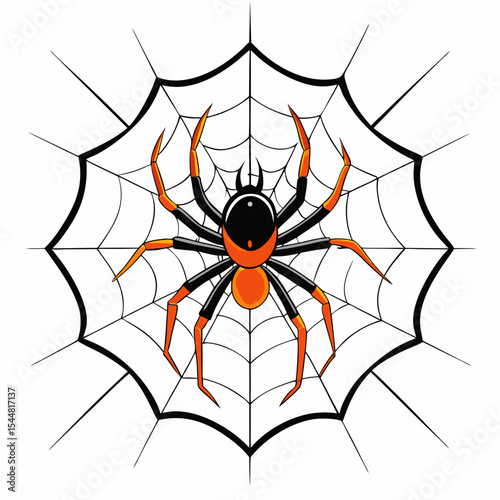 spider and web