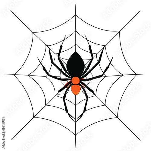 spider and web