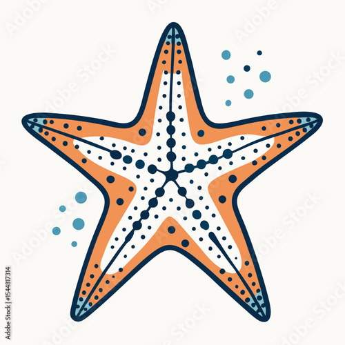 vector illustration of a starfish