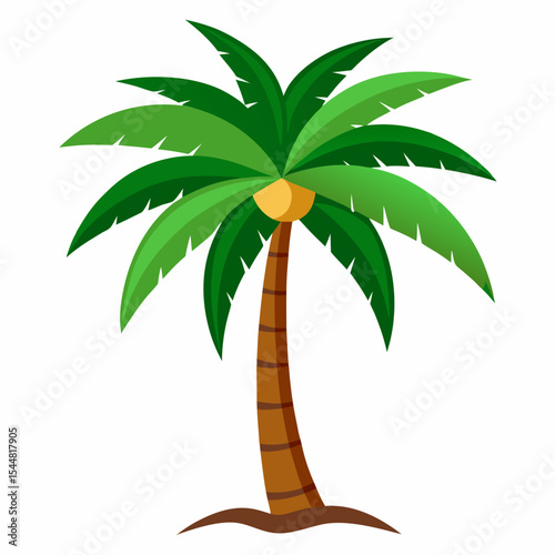 palm tree vector illustration
