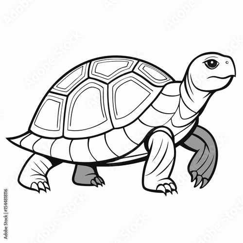 turtle vector illustration