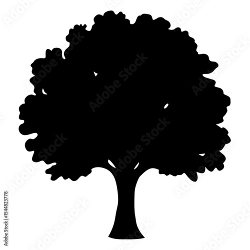 Silhouette of a lush tree with a full crown against a white background