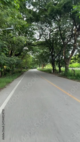 A tranquil road winding through lush greenery, perfect for travel and nature themes.