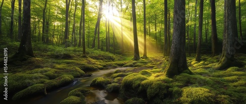 A springtime forest scene unfolds with vibrant greenery and radiant sunlight filtering through the trees
