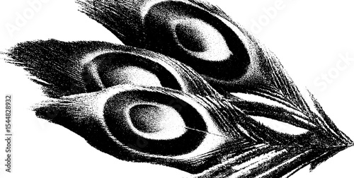 Intricate fractal pattern of peacock feathers in high contrast black and white