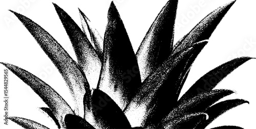 High contrast black and white pineapple crown design for modern art and decor