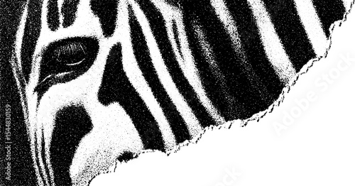 Psychedelic zebra design with high contrast black and white stripes