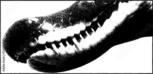High contrast black and white close-up of reptile scales