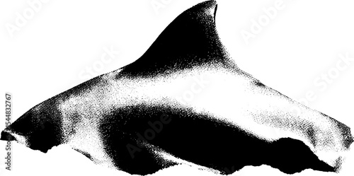 Abstract shark fin in high contrast black and white design