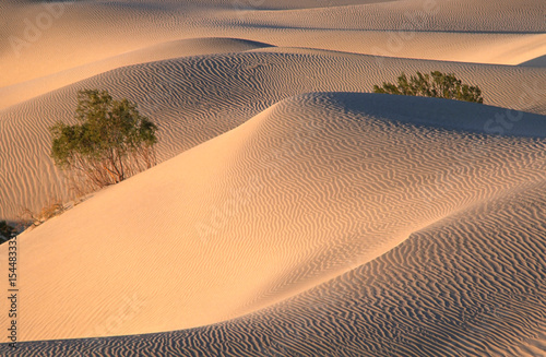 The Mesquite Sand Dunes in Death Valley National Park in California USA