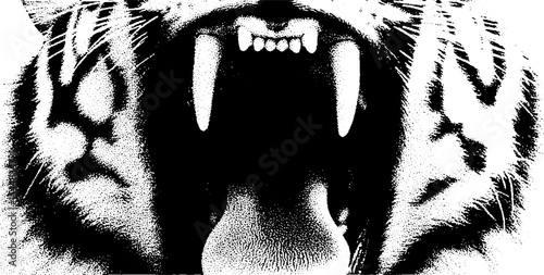 Intense expression of a snarling tiger in high contrast black and white art