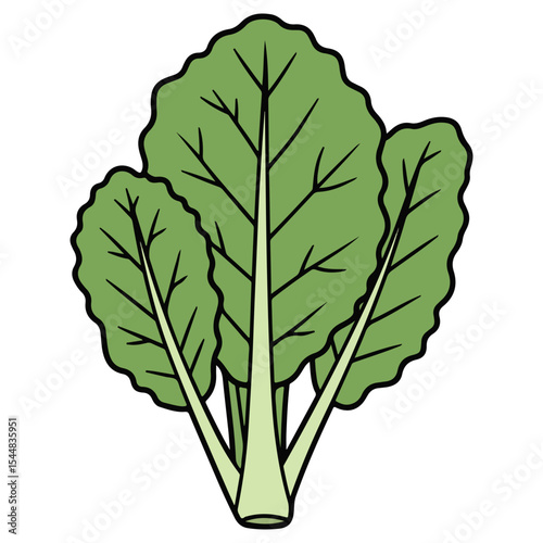 Collard vector illustration, simple design