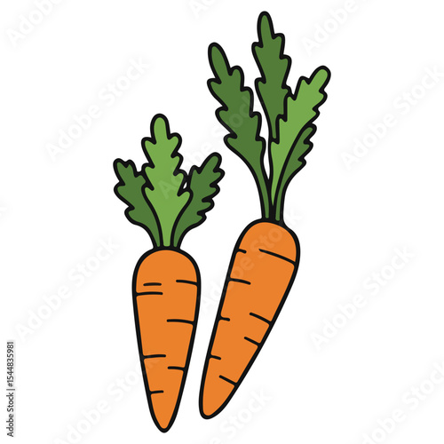 Carrot vector illustration, simple design