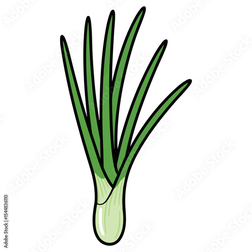 Chive vector illustration, simple design