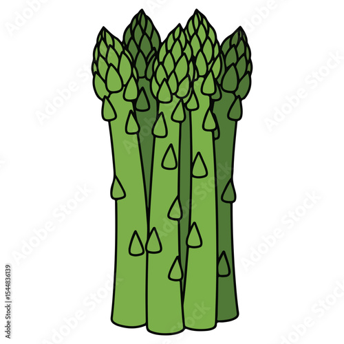 Asparagus vector illustration, simple design
