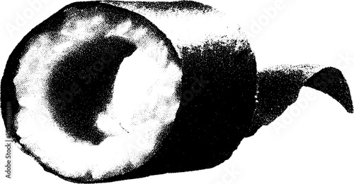 High contrast black and white sushi roll art for modern abstract design