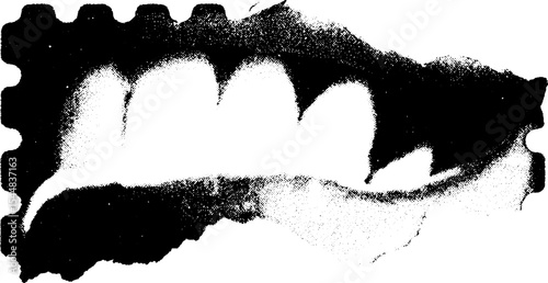 Abstract high contrast fragment of torn credit card in black and white