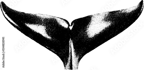High-contrast whale tail silhouette in black and white for marine life design
