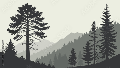 Winter forest landscape with snow-covered pine trees and distant mountains under a cold sky