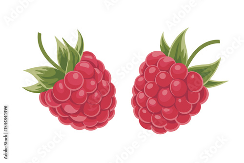 Juicy Raspberries A Delightful Illustration of Summer Berries