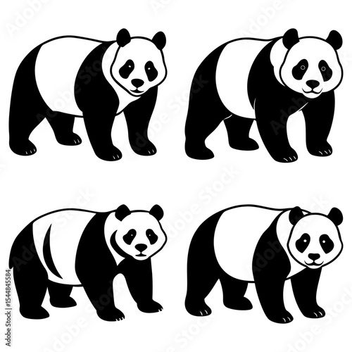Four panda bears in black and white standing in different poses on a white background illustration art
