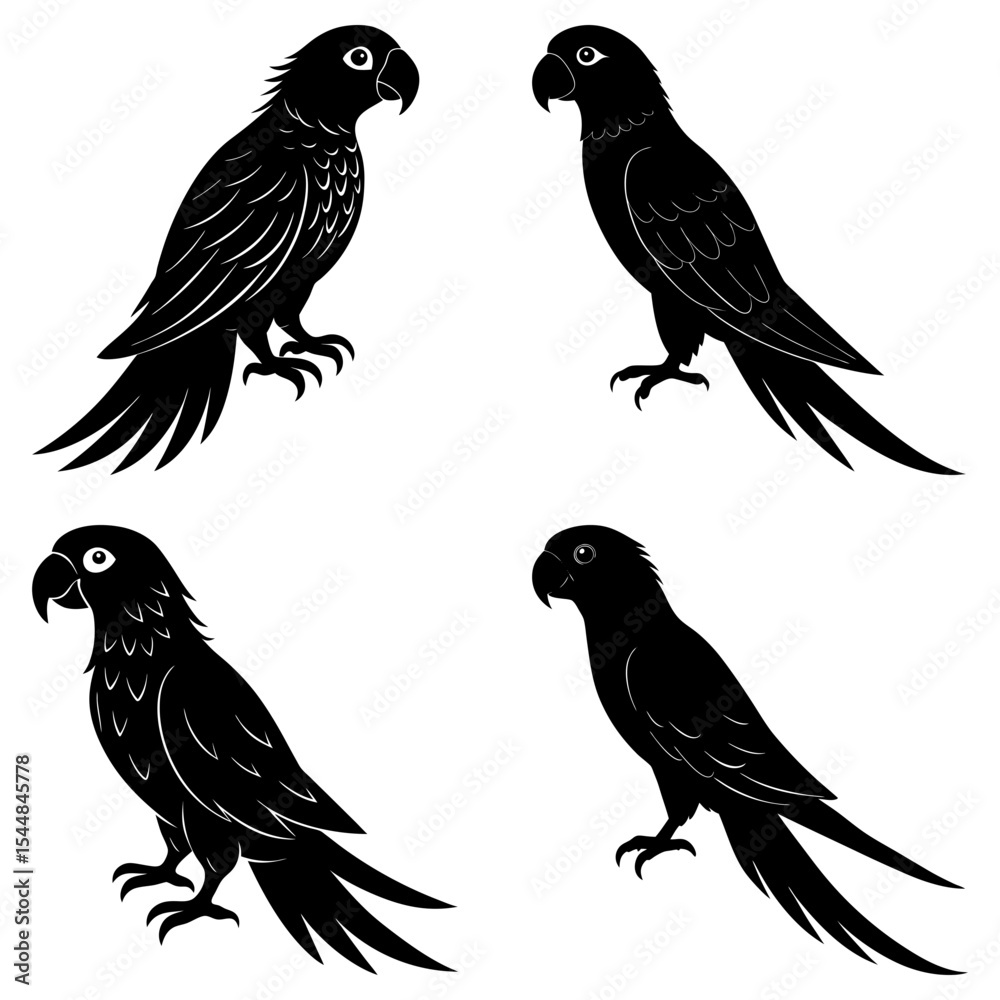 Fototapeta premium Silhouette illustration featuring four parrots in various poses on a white background design