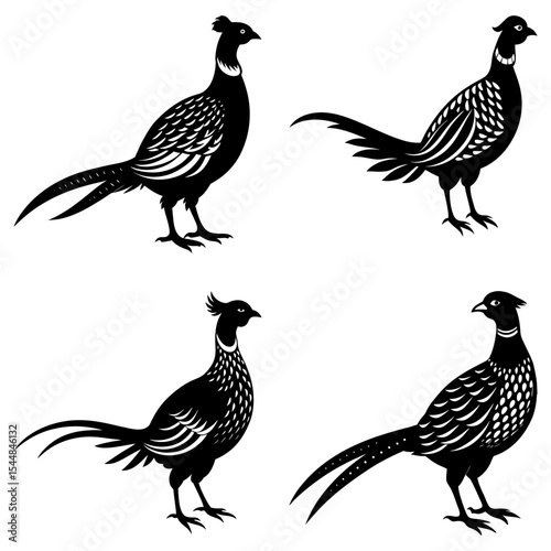 Four stylized pheasant birds in black and white with decorative feather patterns in various poses standing