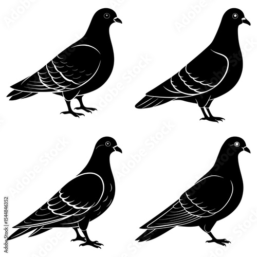 Four black and white silhouette illustrations of pigeons standing in various poses on a white background