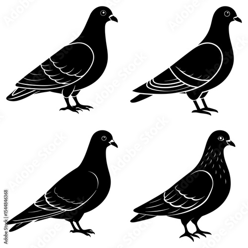 Four black pigeons in various poses with detailed wing feather patterns against a white background design