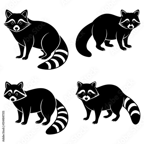 Four black and white raccoon illustrations in different poses on a white background vector image
