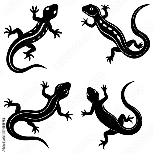 Four black silhouette lizards with curled tails and detailed markings on a white background design vector