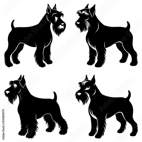 Four schnauzer dog silhouettes in various poses standing on a white background in a vector format