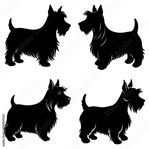 Four scottish terrier dog silhouettes in various poses on a white background illustration design