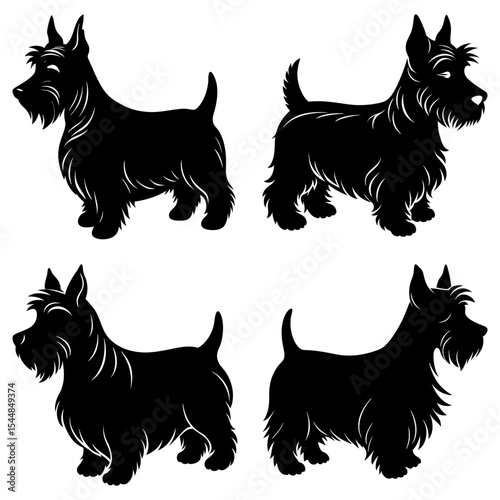 Four scottish terrier dogs in silhouette standing in various poses on a white background graphic art