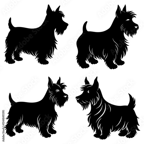 Four scottish terrier dog silhouettes in various poses against a white isolated background art design