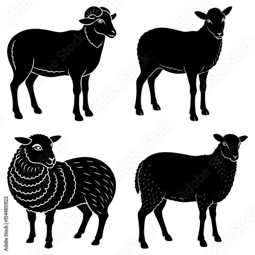 Four black sheep standing in different poses showcasing varied wool textures and horn configurations