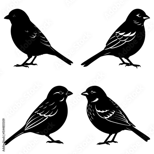 Wallpaper Mural Four black bird silhouettes facing different directions on a white background in a square arrangement Torontodigital.ca