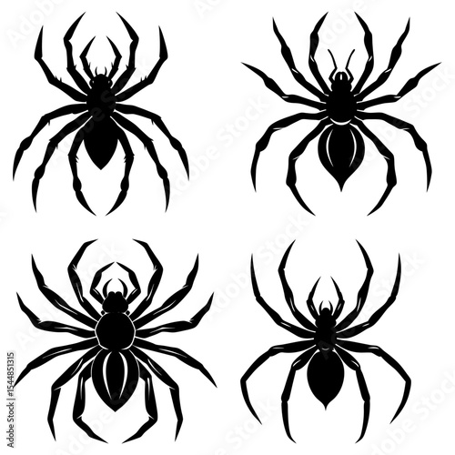 Four black spider silhouettes with detailed legs and bodies on a white background in vector format