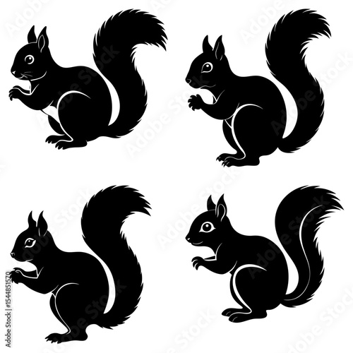 Four black squirrel silhouettes with bushy tails in various poses on a white background design element