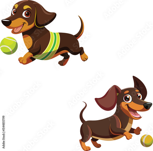 Dachshunds playing with tennis balls one wearing a shirt