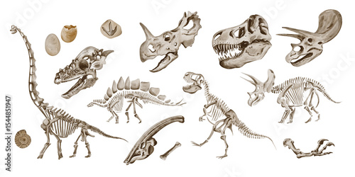 Set of dinosaur skeletons. Eggs and prehistoric fossils. Traceratops and Theronasaurus bones. Watercolor illustration isolated from background. Hand drawn. Poster or banner.