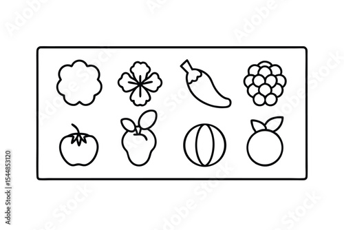 egetables and Fruits Line Art Vector Illustration – Minimal Organic Food Design