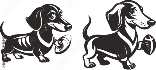 Dachshunds playing rugby one holding a ball the other ready to catch it