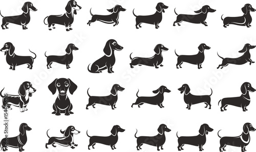 Dachshund dogs various poses black silhouettes collection illustration