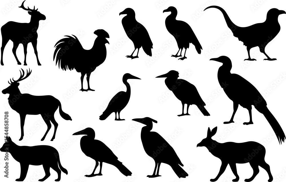 Obraz premium set of animals silhouettes