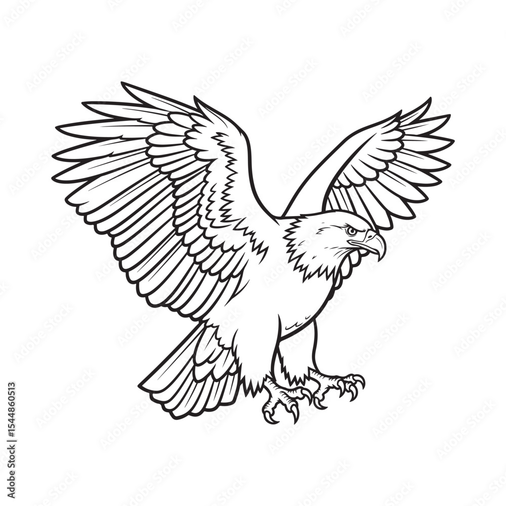 Fototapeta premium Black and White Line Art Eagle Wings Spread Talons