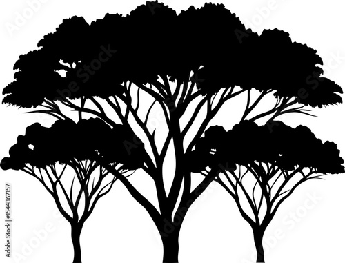 silhouettes of trees