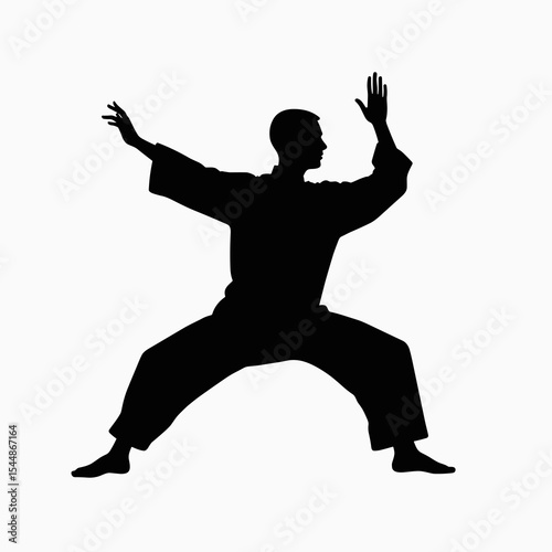 Silhouette of a Man Practicing Tai Chi or Martial Arts in a Defensive Stance with Fluid Movements