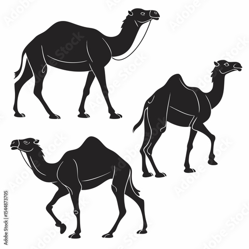 Camel Silhouette Vector Sheet - Accurate Proportions Minimalist Black on White